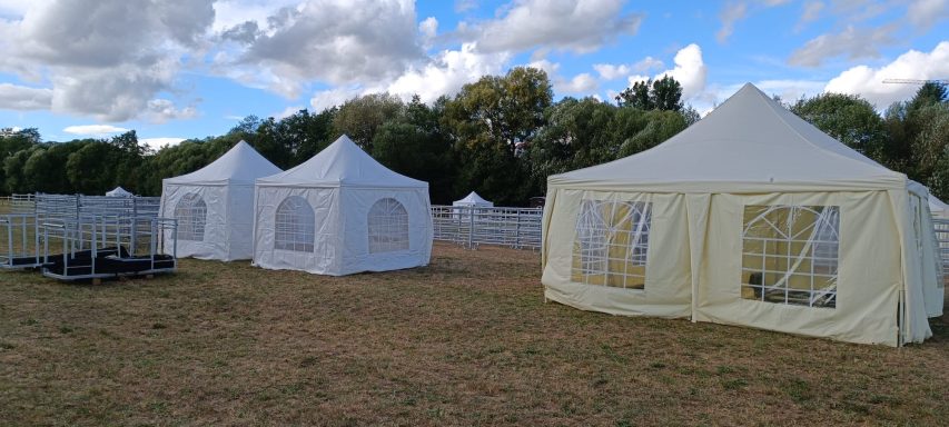 Pavillons mit Seitenwänden und Dach auf dem Wiesengelände beim Usinger Laurentius Markt