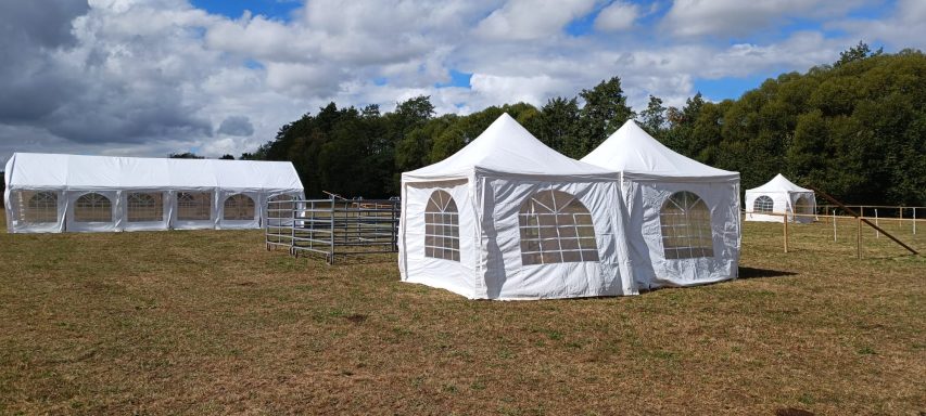 Pavillons mit Seitenwänden und Dach auf dem Wiesengelände beim Usinger Laurentius Markt